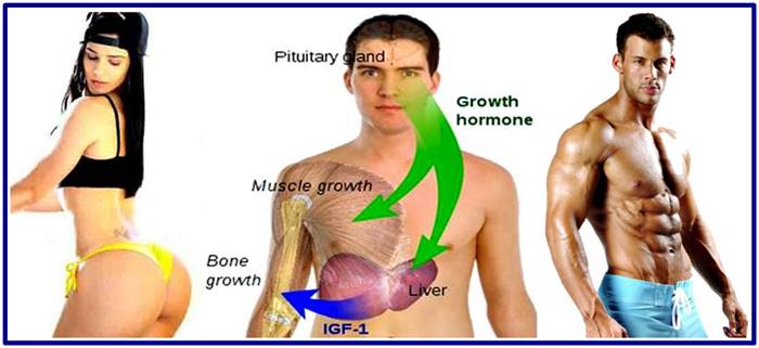 hgh injections types result
