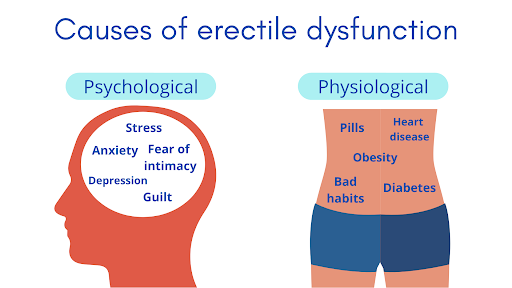  Stem cell therapy for erectile dysfunction: ED causes