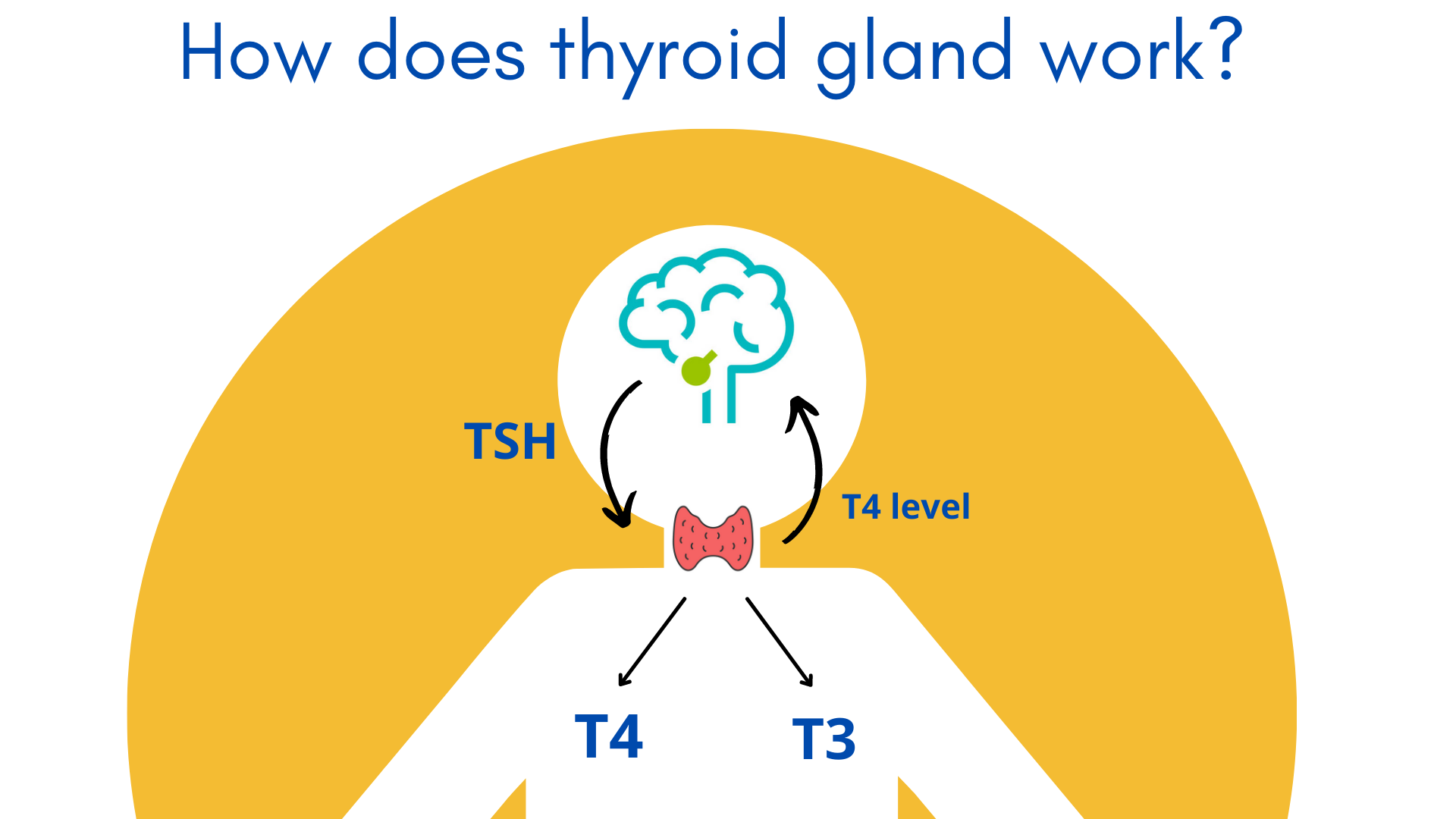 thyroid hormone replacement natural